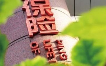 保险公司转正工作总结7篇