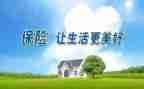 保险公司月总结报告参考5篇