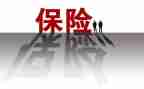 保险业务员总结报告7篇