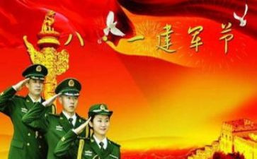 八一慰问活动总结7篇