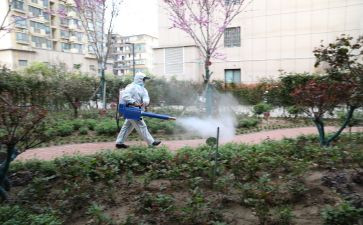 病媒生物防治的工作总结7篇