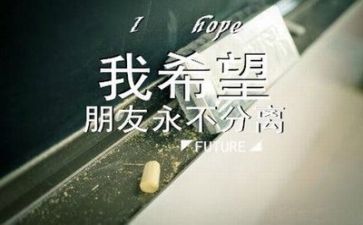 毕业前实习报告总结参考5篇