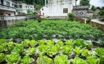 湘菜的市场调查报告范文推荐6篇