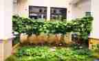 学炒菜的作文优秀8篇