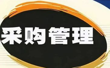 2024年采购办工作总结报告7篇
