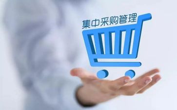 采购心得优秀6篇
