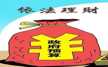 财政所工作总结及计划7篇