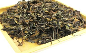 奶茶店的合同8篇
