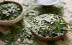 茶文化节活动方案推荐7篇