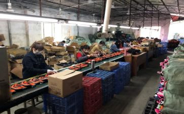 电厂员工年度个人总结6篇