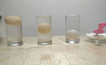 水的沉浮大班科学教案7篇