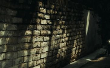 读后感城南旧事作文参考6篇