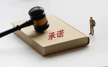 我的承诺的作文5篇