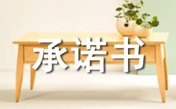 安装承诺书7篇