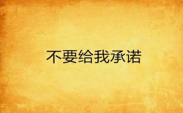 最简单的承诺书5篇