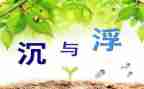 沉与浮游戏教案8篇