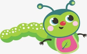 观察昆虫作文优秀5篇