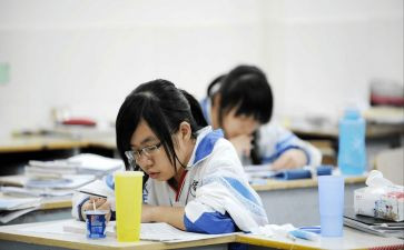 初中生社会实践报告最新6篇