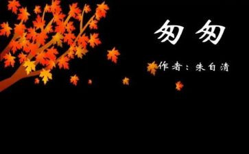 读后感匆匆读后感精选5篇