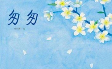 匆匆的读后感100字7篇