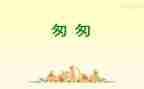读后感匆匆读后感优秀7篇