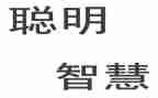 大班语言活动聪明的乌龟教案6篇