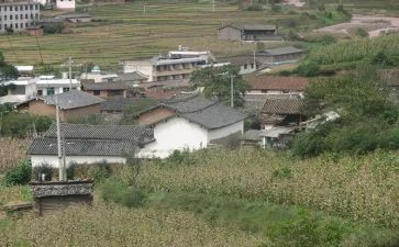 农村工作心得体会5篇