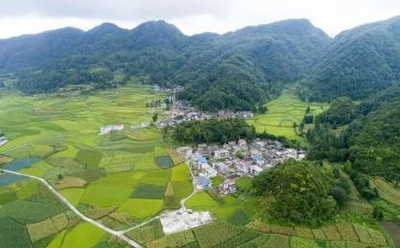 大学生村官个人工作总结优秀8篇