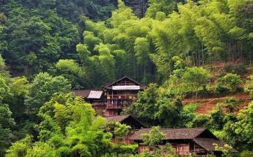 参观优秀村的心得体会6篇