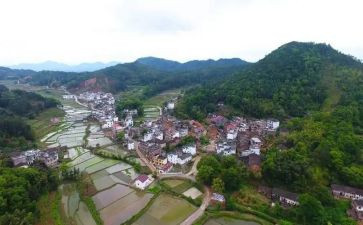 2023村工作总结报告最新8篇