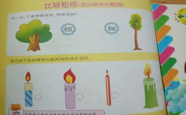 比较粗细中班数学教案5篇
