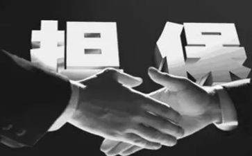反担保合同模板精选5篇