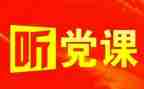 党个人总结年度个人总结8篇