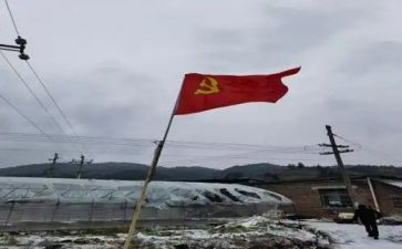 党员转正个人工作总结5篇