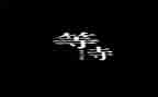 等待的幸福作文8篇