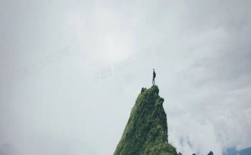 重阳节登高活动方案5篇