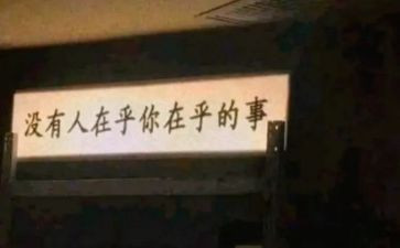 等风也等你读后感7篇