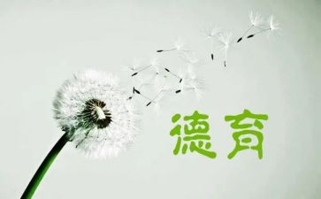 学生个人德育心得体会6篇