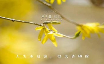 得与失的总结报告通用5篇
