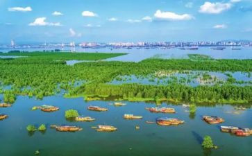 2024房地产销售述职报告6篇