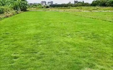 场地房屋租赁合同最新6篇