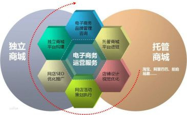 学电商心得体会参考6篇