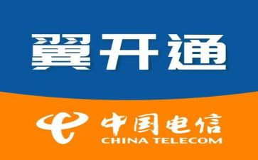 2023年电信工作总结参考5篇