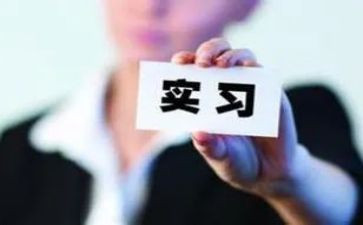 顶岗实习报告3000字7篇