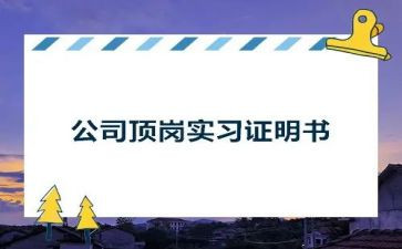 园建顶岗实习报告模板6篇