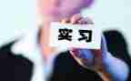 顶岗实习报告3000字7篇