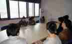 服务员顶岗实习心得5篇
