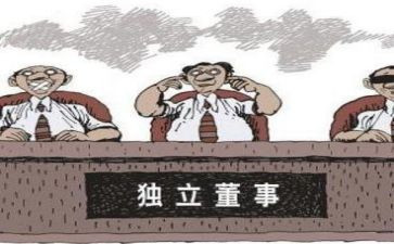 董事个人述职报告6篇