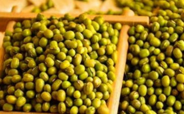 摆豆子教案7篇