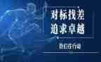 对标情况总结报告最新5篇